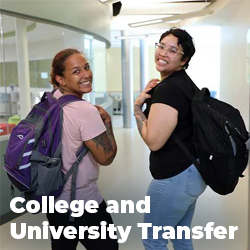 College and university transfer