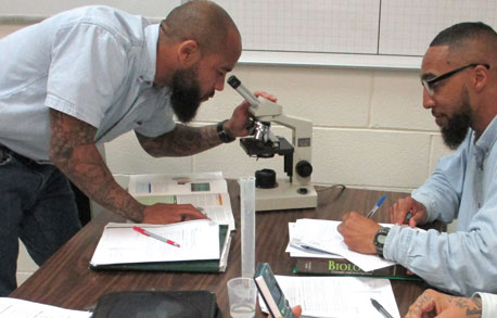 men studying biology using microscopes